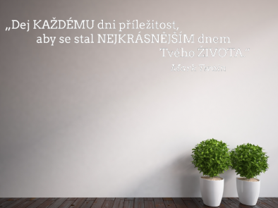 Samolepka na zeď - Mark Twain